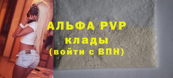 шишки Аркадак