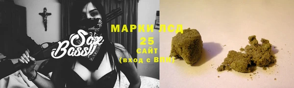 шишки Аркадак